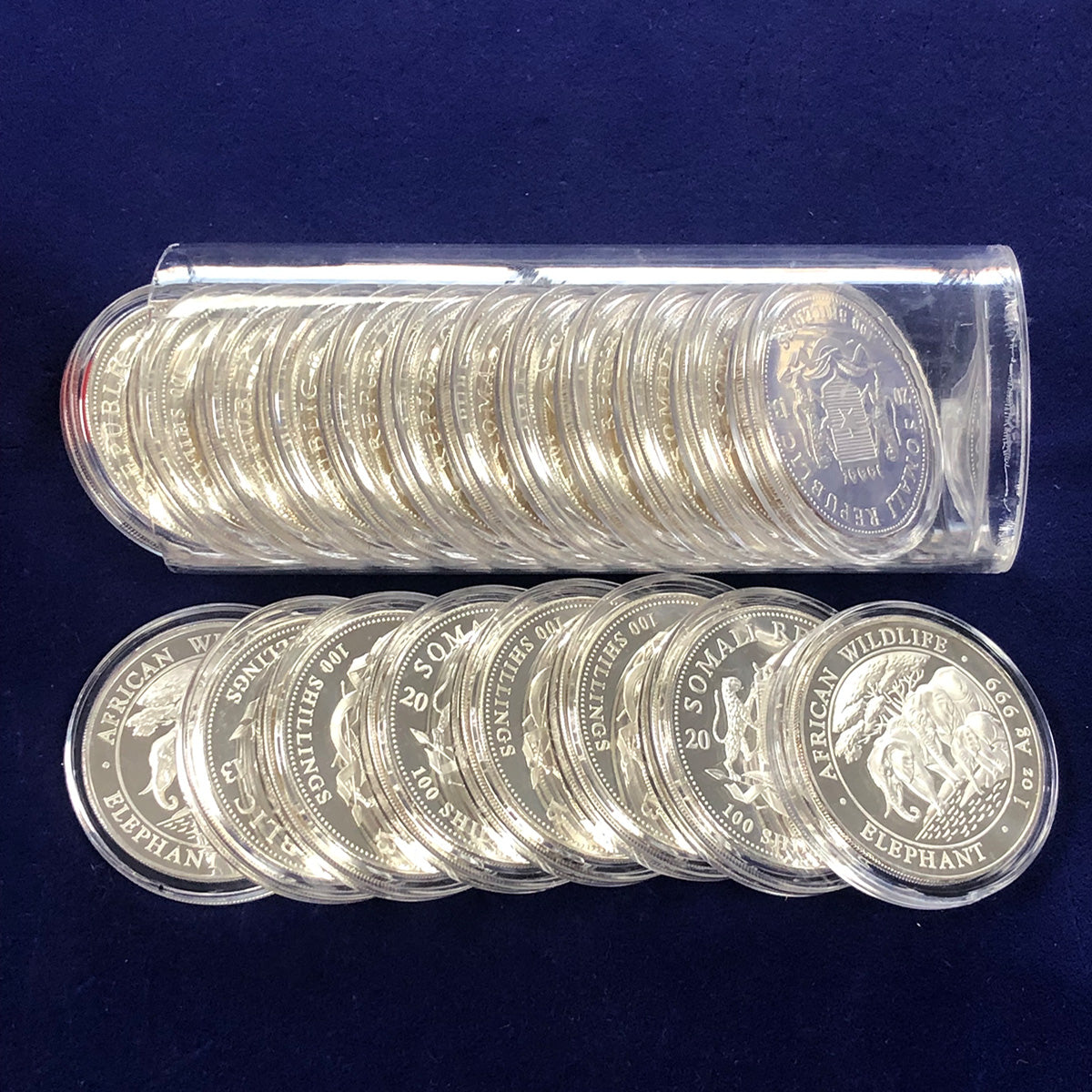 Somali 1 oz Silver Elephant (BU) (Random) (Secondary)