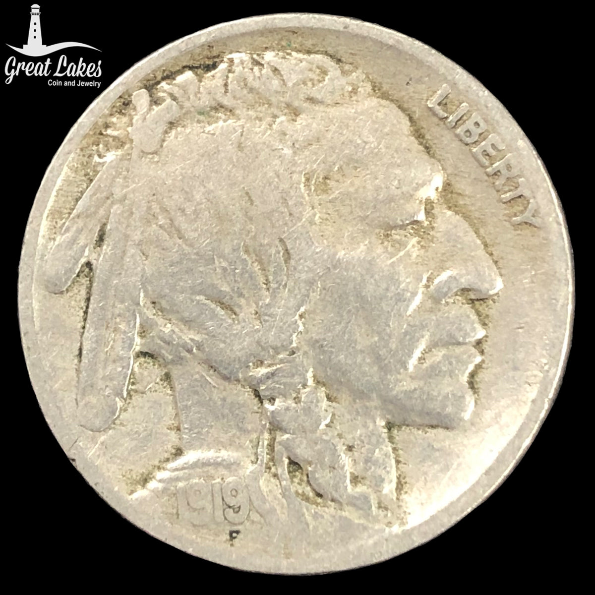 1919 Buffalo Nickel (F)