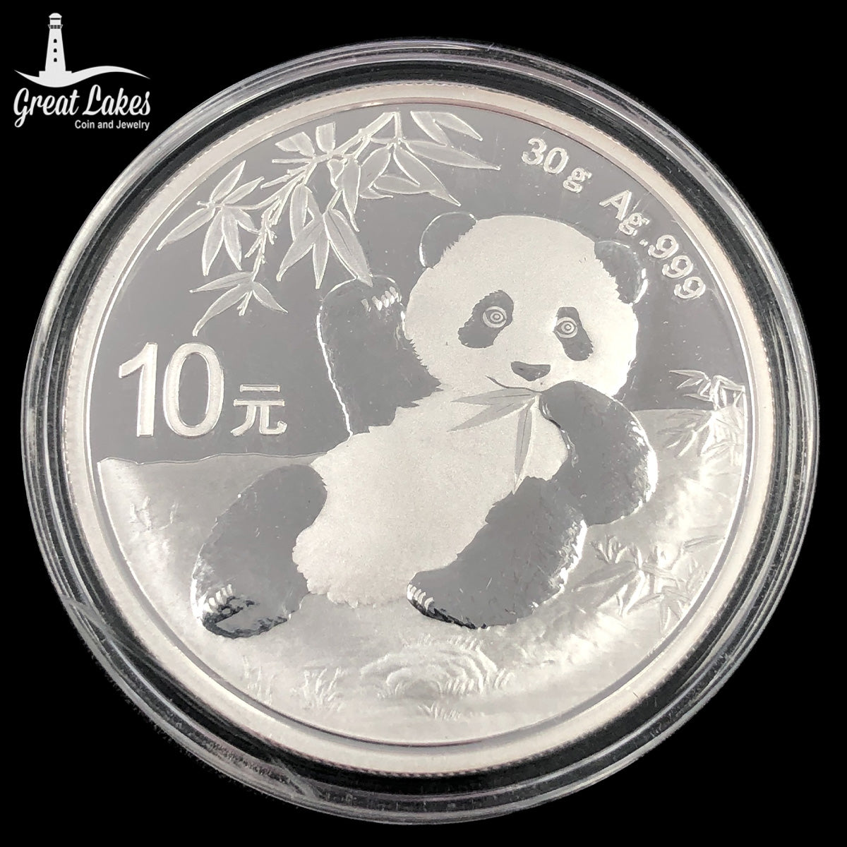 2020 Chinese 30 g Silver Panda