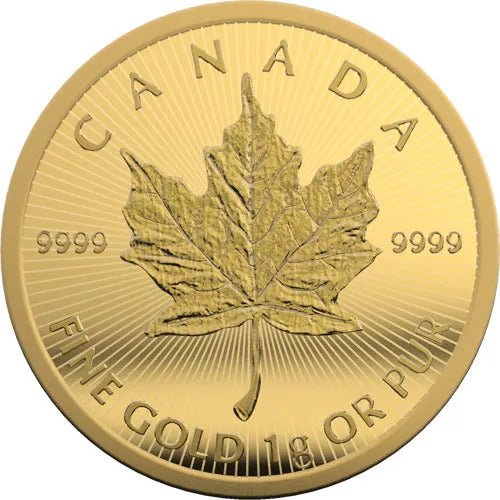 2021 1 Gram Gold Maple Leafs Maplegram