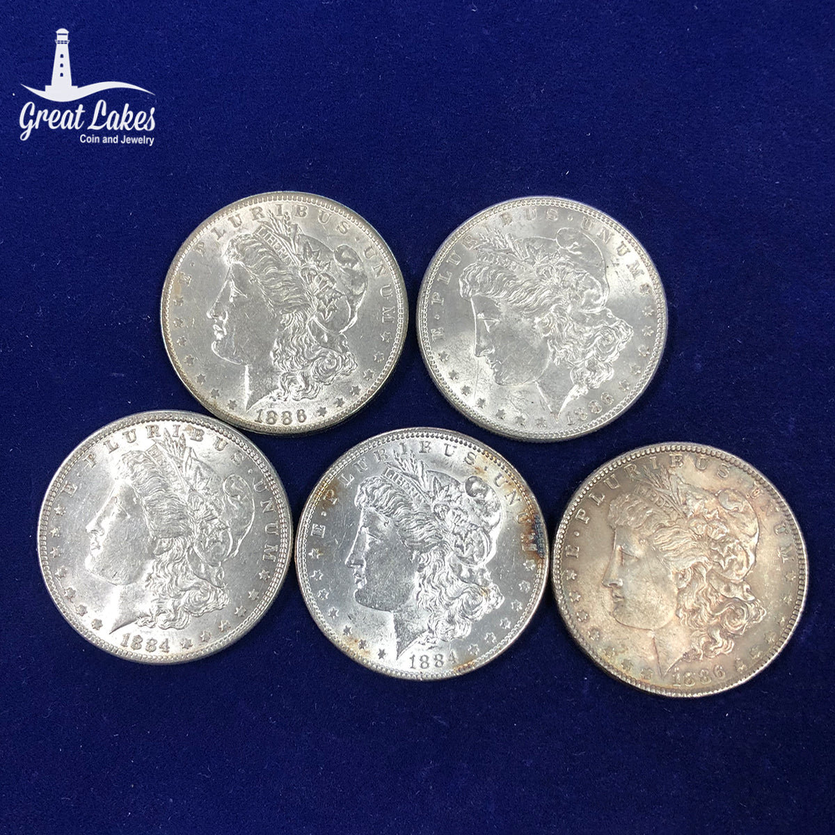 Lot of 5 Pre 21 Morgan Silver Dollars (AU)