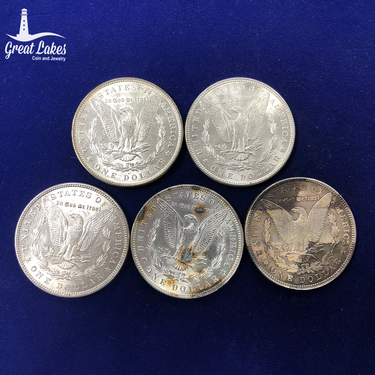 Lot of 5 Pre 21 Morgan Silver Dollars (AU)