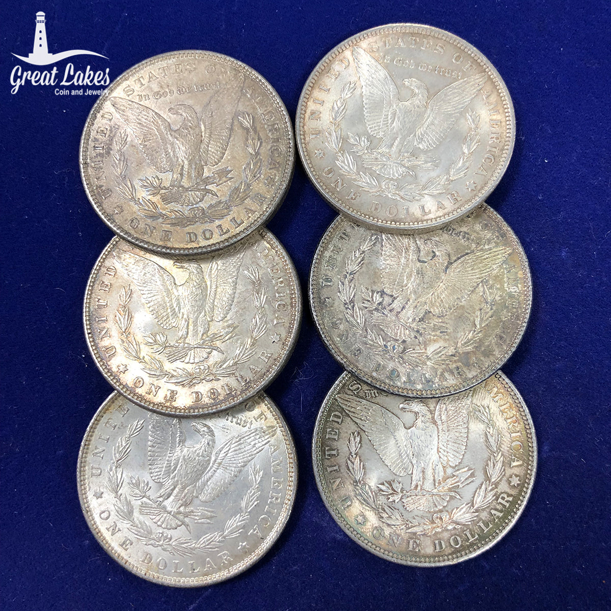 Lot of 6 Pre 21 Morgan Silver Dollars (BU)