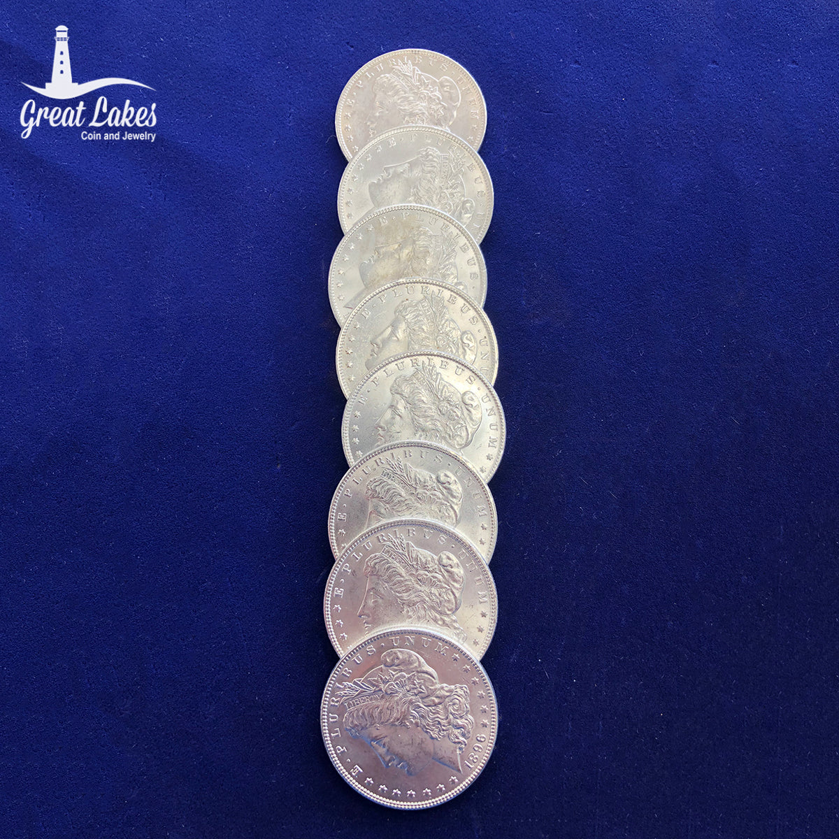 Lot of 8 AU / BU 1896 Morgan Silver Dollars