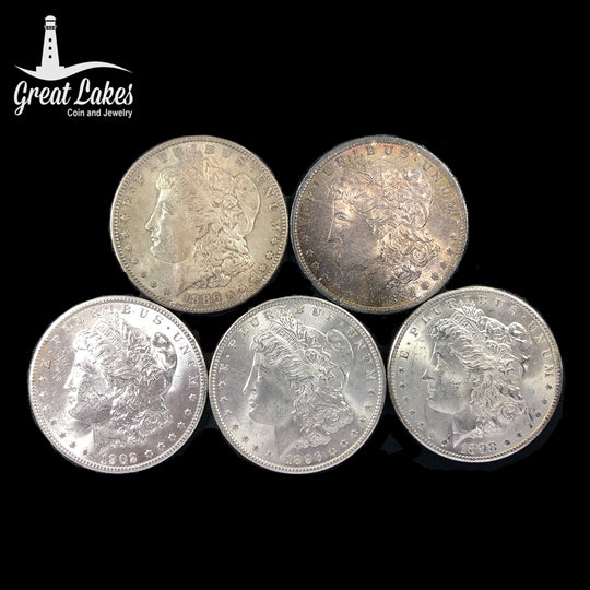 Lot of 5 Pre 21 Morgan Silver Dollars (BU)