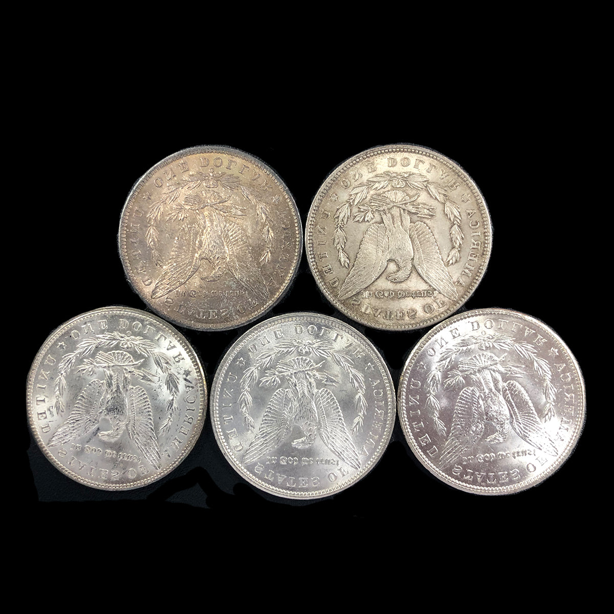 Lot of 5 Pre 21 Morgan Silver Dollars (BU)