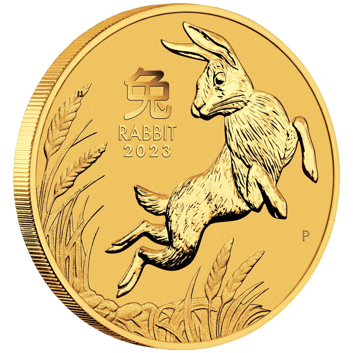 2023 Perth Mint Year of the Rabbit 1/2 oz Gold (BU)